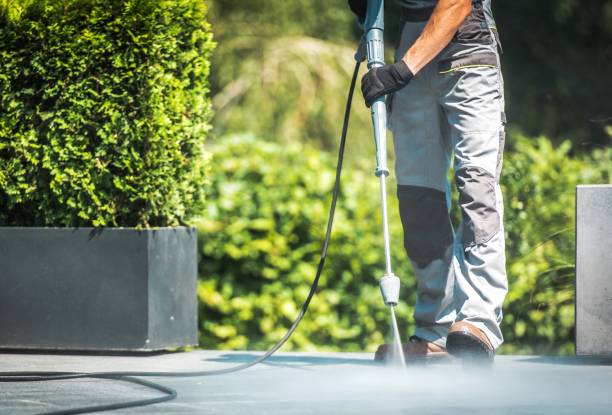 Best Roof Washing  in Cumberland, IN